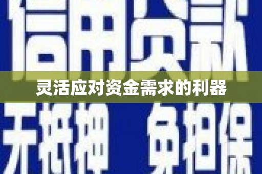 颍上灵活应对资金需求的利器
