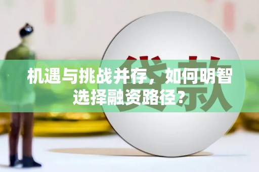 颍上机遇与挑战并存，如何明智选择融资路径？