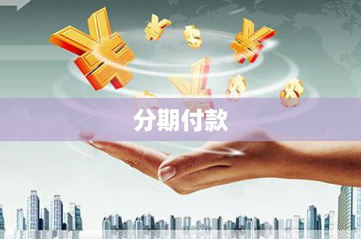 颍上分期付款