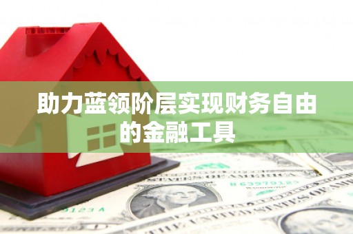 颍上助力蓝领阶层实现财务自由的金融工具