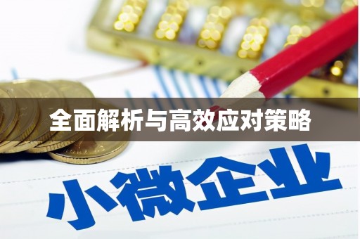 颍上全面解析与高效应对策略