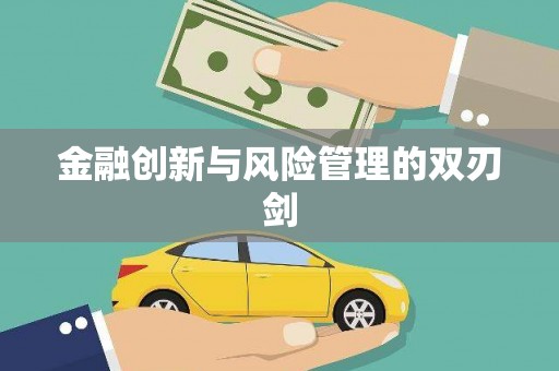 颍上金融创新与风险管理的双刃剑