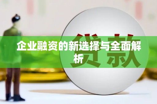 颍上企业融资的新选择与全面解析