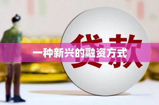 颍上一种新兴的融资方式