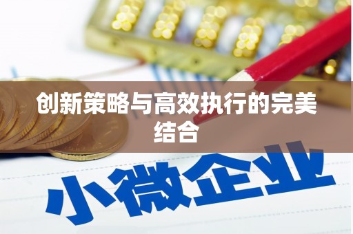 颍上创新策略与高效执行的完美结合