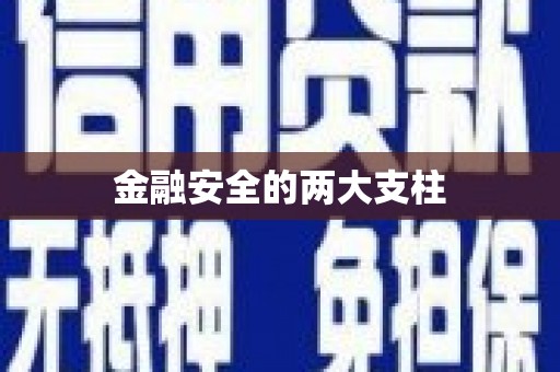 颍上金融安全的两大支柱