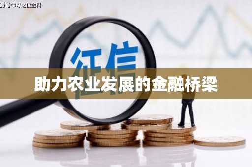 颍上助力农业发展的金融桥梁