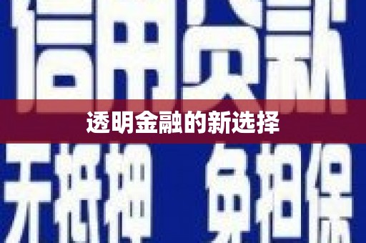颍上透明金融的新选择