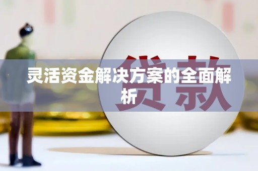 颍上灵活资金解决方案的全面解析