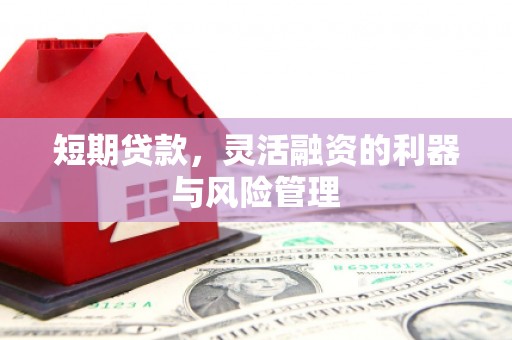颍上短期贷款，灵活融资的利器与风险管理