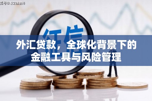 颍上外汇贷款，全球化背景下的金融工具与风险管理