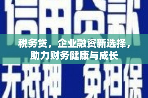 颍上税务贷，企业融资新选择，助力财务健康与成长