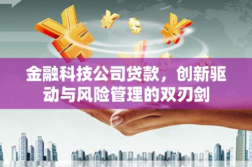 颍上金融科技公司贷款，创新驱动与风险管理的双刃剑