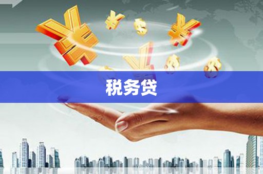 颍上税务贷