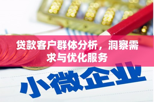 颍上贷款客户群体分析，洞察需求与优化服务